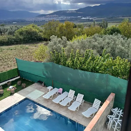 Naturel Villalari *
